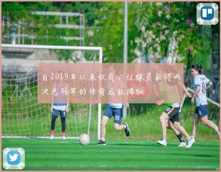 自2019年以来仅有六位球员获得两次总冠军的传奇成就揭秘